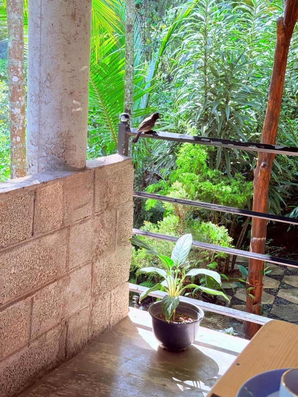 Apartamento Sky Garden Ella Exterior foto